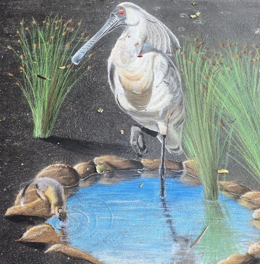 Yarram Chalk Art Festival