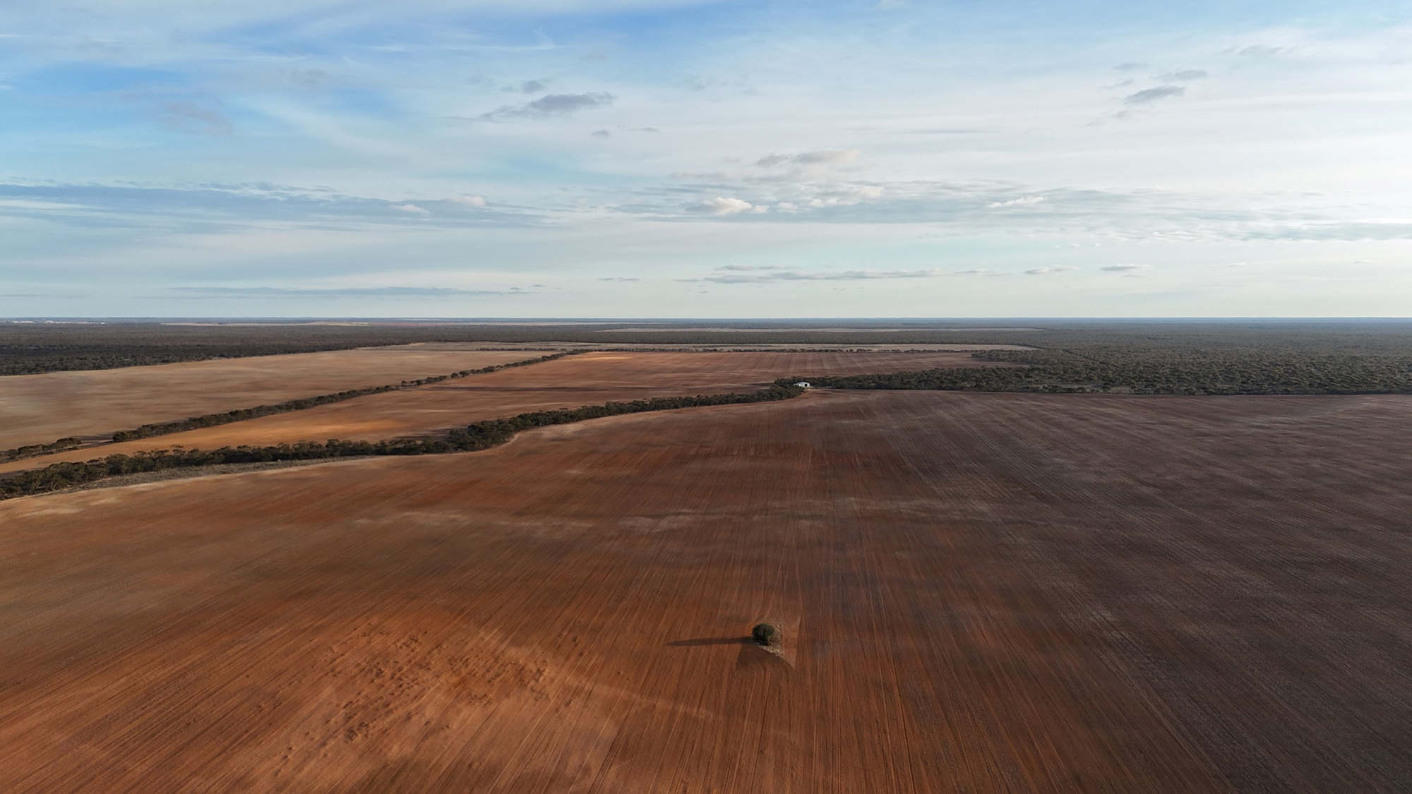 Euston Wind Farm