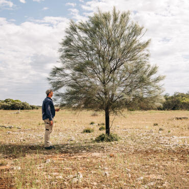 20251106 6745 Talia Station South Australia 405