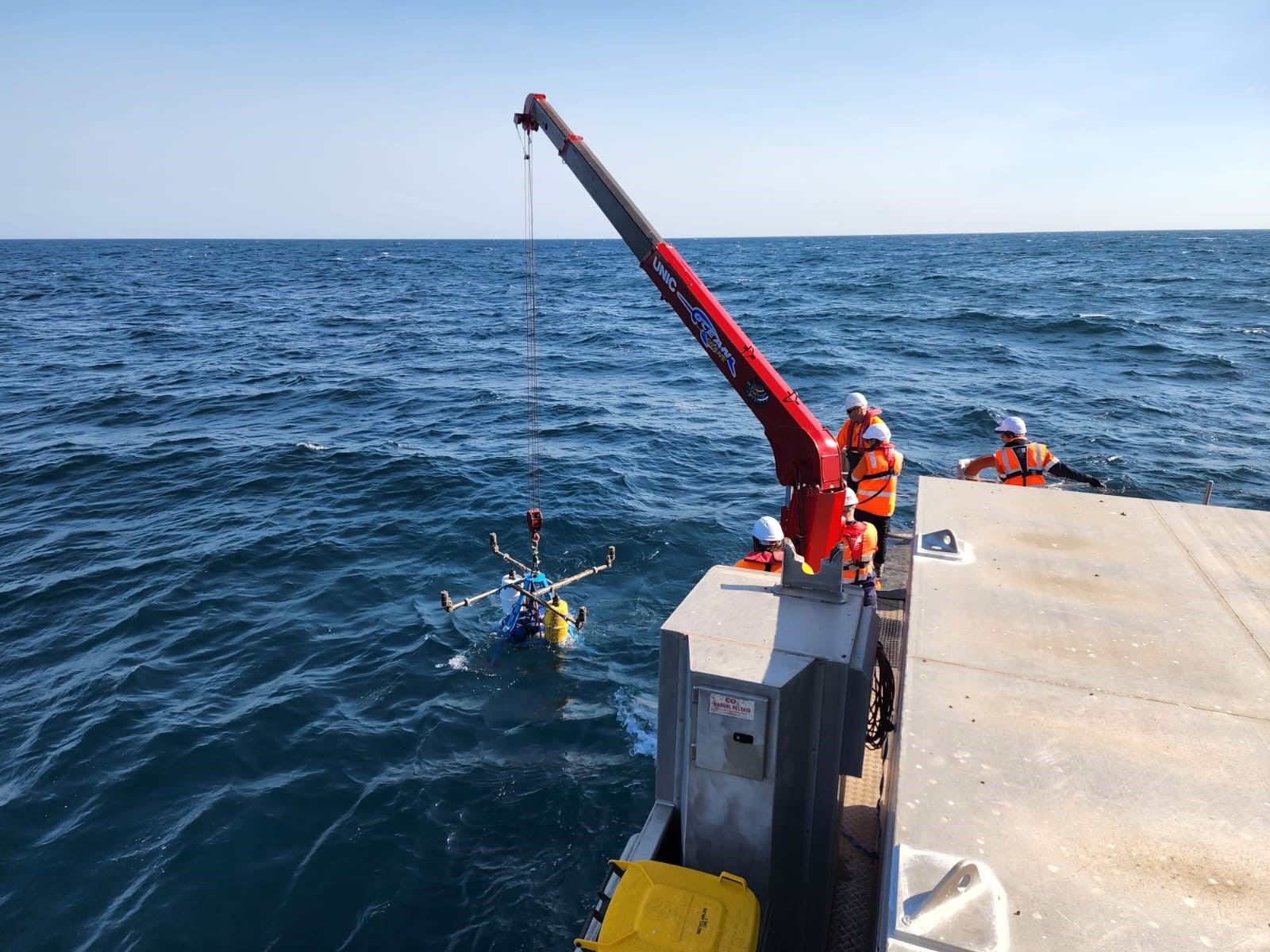 Fish and seabed studies start